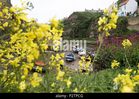 The Estuary in the village of Staithes, North Yorkshire England UK Stock Photo