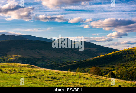 beautiful mountain landscape in afternoon. grassy meadow and forested hills of Carpathian mountains. Pikui mountain in the far distance. gorgeous blue Stock Photo