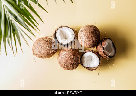 Coconuts on a pastel background, top view. Stock Photo