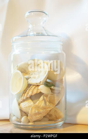 Clear Large Jar with a collection of Sea Shells Stock Photo