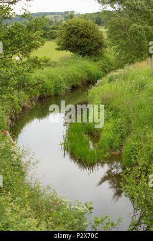Looking upstream at the River Keer in Lancashire near Borwick viewed from High Keer bridge. The River Keer is a small river that for part of its cours Stock Photo