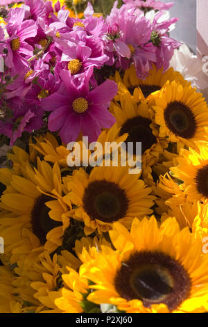 Beautiful flowers can always put a smile on someones face Stock Photo