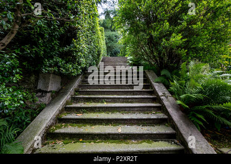 Beautiful old shady stone staircase between trimmed bushes in a green garden at Isola Bella island on lake Lago di Maggiore in Northern Italy. Stock Photo
