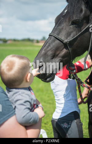 A child pets Soubirac, an 11-year-old Frison horse, that Staff Sgt. Yvonne Greco brought on post, as U.S. Airmen with the 424th Air Base Squadron and their Families celebrate safety, Family and back-to-school day on Chièvres Air Base, in Chièvres, Belgium, August 09, 2016. (U.S. Army photo by Visual Information Specialist Pierre-Etienne Courtejoie) Stock Photo