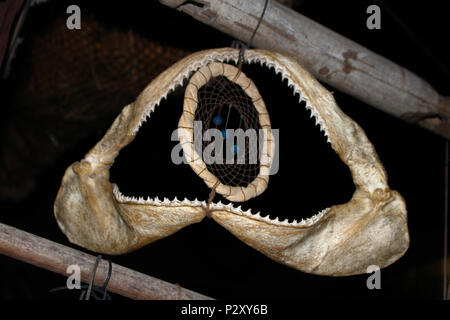 Shark complete jaws decoration Stock Photo