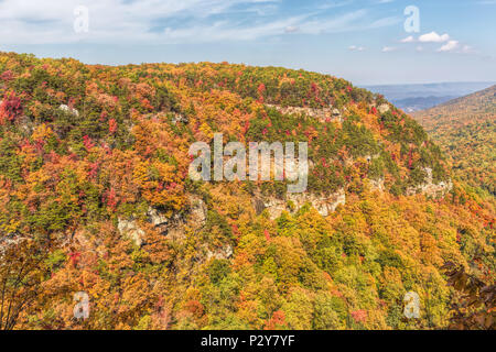 Fall Colors at Cloudland Canyon State Park, Georgia, USA Stock Photo