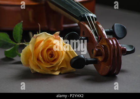 Violin and a rose on a brown table Stock Photo