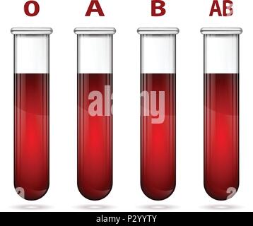 Different blood types in test tube illustration Stock Vector