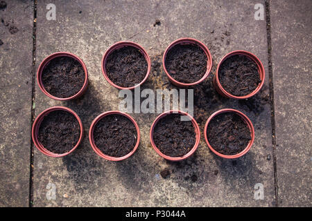 Top view of flower pots filled with soil. Preparing plastic pots for gardening. Concept with soil and gardening pots. Seeding plants in the flower pot Stock Photo