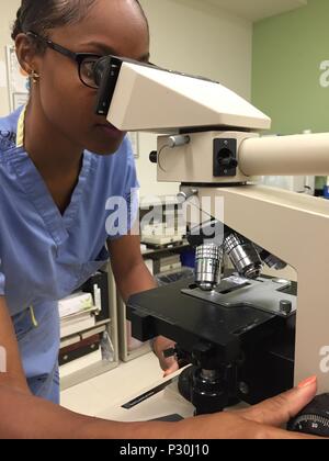 A histologist at the Atlanta VA Medical Center examines stained tissue samples to identify specific disease markers. Using microscopic analysis and laboratory procedures, the histologist evaluates biopsies from various organs to assist in diagnosis and treatment planning. This work supports Veterans Health Administration efforts, enabling accurate clinical assessments, research initiatives, and improved patient care within the medical center's histology and pathology laboratories. Stock Photo