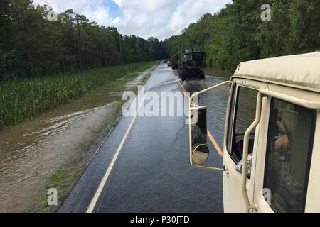 Louisiana National Guardsmen convoy to a boat launch in order to conduct door-to-door Search and Rescue missions near Maurepas, La., Aug. 17, 2016. The Louisiana National Guard continues to conduct response efforts, recovery missions, and preposition vehicles and assets in potentially affected areas, as directed by Gov. John Bel Edwards, since operations began, Aug. 12. (U.S. Army National Guard photo by 1st Sgt. Paul C. Meeker) Stock Photo