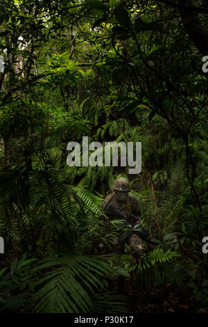 https://l450v.alamy.com/450v/p30k17/lance-cpl-david-al-ibrahim-patrols-the-jungle-during-a-field-operation-at-the-jungle-warfare-training-center-in-okinawa-japan-the-military-policeman-with-company-b-3rd-law-enforcement-battalion-iii-marine-expeditionary-force-headquarters-group-iii-mef-conduct-monthly-training-to-maintain-and-sharpen-skills-for-patrols-in-enemy-territory-al-ibrahim-form-appleton-wisconsin-is-a-field-military-policeman-with-company-b-3rd-le-bn-iii-mhg-iii-mef-us-marine-corps-photo-by-lance-cpl-kelsey-m-dornfeld-released-p30k17.jpg