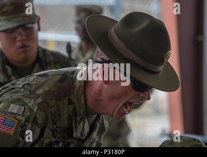 New Soldiers arriving for their first day of Basic Combat Training, Aug. 19, with Company F, 1st Battalion, 34th Infantry Regiment on Fort Jackson, S.C. are 'welcomed' by drill sergeants from both the U.S. Army and U.S. Army Reserve. The reserve drill sergeants are from the 98th Training Division  (IET), 108th Training Command (Initial Entry Training) currently fulfilling their 29-day annual training commitment. (U.S. Army Reserve photo by Sgt. 1st Class Brian Hamilton/ released) Stock Photo