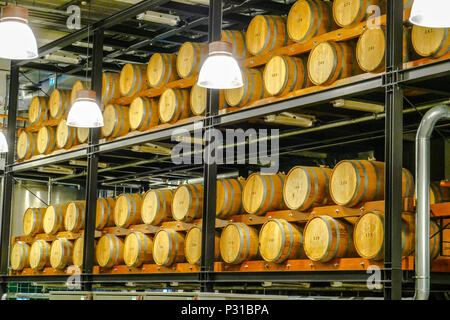 barrels with jenever, gin or vodka at warehouse of Nolet, Schiedam, Holland Stock Photo
