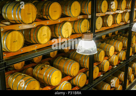 barrels with jenever, gin or vodka at warehouse of Nolet, Schiedam, Holland Stock Photo