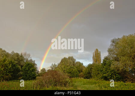 Brigh colorful full rainbow on a dark grey sky over marshland landscape with trees and shrubs in Bourgoyen natue reserve, Ghent Stock Photo