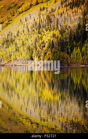 Aspens in fall color reflect in Crystal Lake, Colorado. Stock Photo