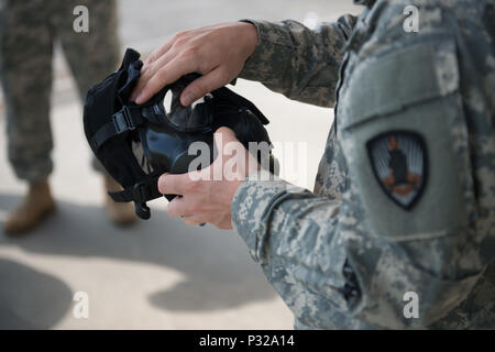 A U.S. Soldier with 650th Military Intelligence Group cleans his M50 joint service general purpose mask, on Chièvres Air Base, in Chièvres, Belgium, Aug. 18, 2016. (U.S. Army photo by Visual Information Specialist Pierre-Etienne Courtejoie) Stock Photo