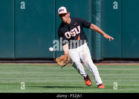 Steven Kwan - Baseball - Oregon State University Athletics