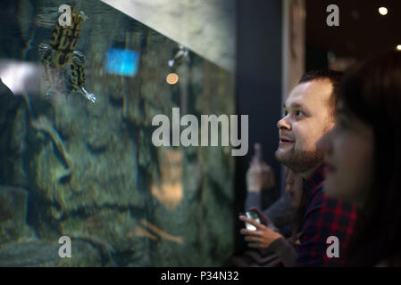 Cheerful excited adult man holding camera and watching reptiles in fishtank in oceanarium center. Stock Photo