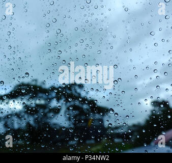 Water droplets on window Stock Photo