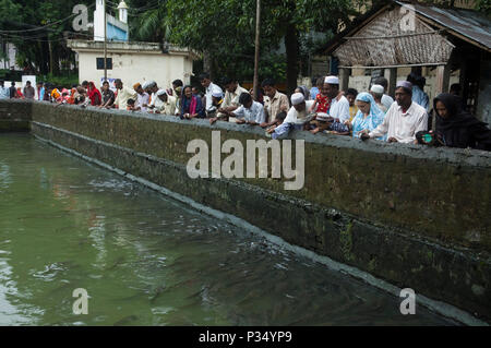 Devotees feeding fishes at a pond inside the Hazrat Shah Jalal Mazar mosque which houses the shrine of Hazrat Shah Jalal (R) in Sylhet. Sylhet, Bangla Stock Photo