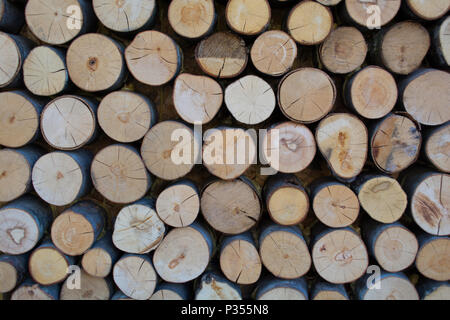 the background texture of the chopped wood logs round billet dry cracked folded in the janitor Stock Photo