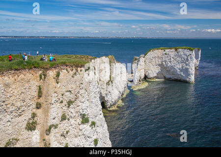 Old Harry rocks in Studland Bay, Jurassic Coast World Heritage Site, Dorset, England, UK Stock Photo