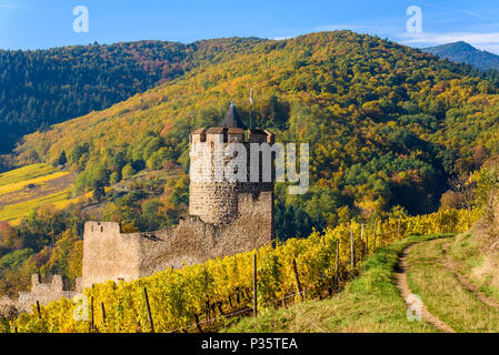 Ruin and Tower at Chateau de Kaysersberg -  Watchtower at village in alsace - France Stock Photo