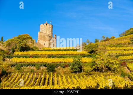 Ruin and Tower at Chateau de Kaysersberg -  Watchtower at village in alsace - France Stock Photo