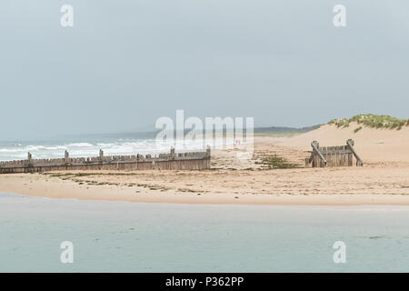 Lossiemouth - couple in distance walking along Lossiemouth East Beach towards wooden groynes and the River Lossie, Moray, Scotland, UK Stock Photo