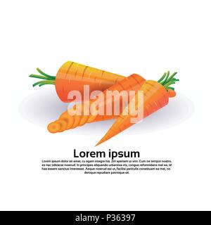carrot on white background, healthy lifestyle or diet concept, logo for fresh vegetables Stock Vector