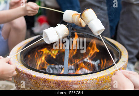 People toasting marshmellows on open fire pit at garden party Stock Photo