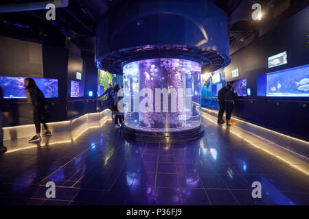 Monaco, Aquarium in Oceanographic Museum (Musee oceanographique) Stock Photo