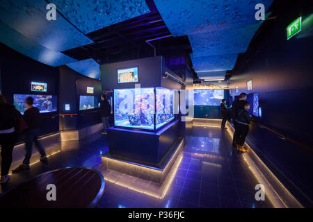 Monaco, Aquarium in Oceanographic Museum (Musee oceanographique) Stock Photo