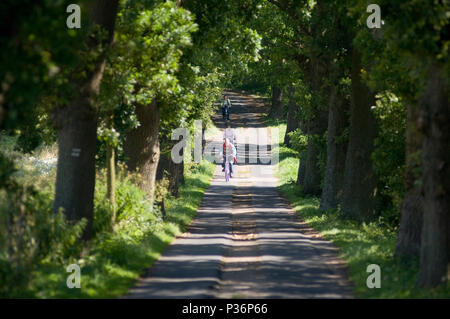 Gager, Germany, cyclist on an avenue