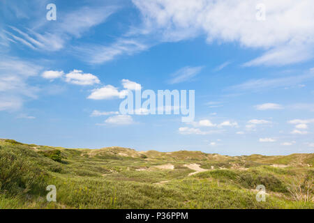 View of overgrown sand dunes in Norderney, Germany. Stock Photo