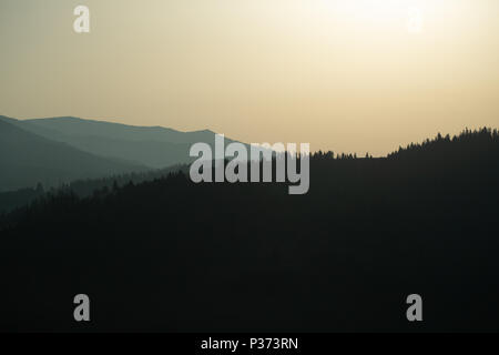 panoramic view of of mountains in misty forest. far horizon. Stock Photo