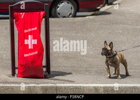 Geneva Switzerland, during the football world cup all the bags of public garbage in the city encourages the national team by: Hop Swiss Stock Photo
