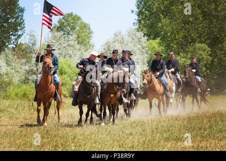 Paint foal and mother in horse herd Stock Photo