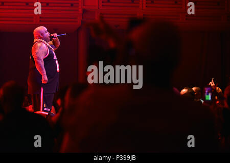 CeeLo Green, Big Gipp, Khujo and T-Mo with Goodie Mob performs during ...