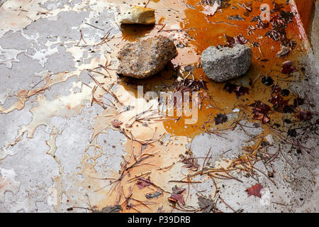 organic background with stones and dry leaves on wet surface Stock Photo