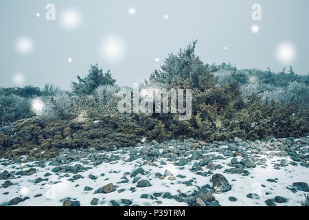 Snowy winter landscape Stock Photo