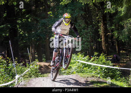Mountain Biking in the Royal Forest of Dean, Gloucestershire. MIJ Downhill 2018 Stock Photo