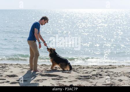 Young caucasian male playing with dog on beach. Man and dog having fun on seaside Stock Photo