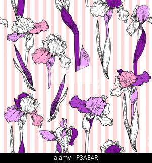 Hand drawn iris Stock Vector