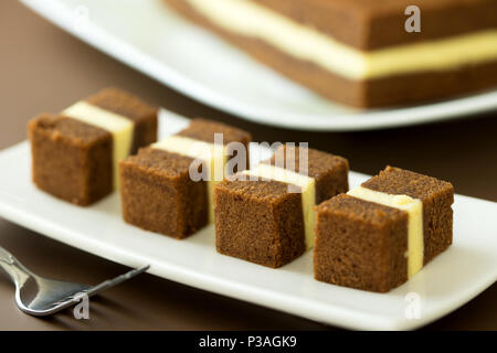 Chocolate cheese layer cake Stock Photo