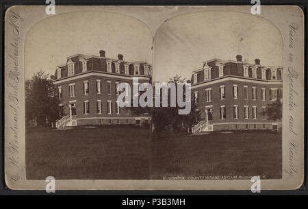194 Monroe County Insane Asylum, Rochester, N.Y, by Woodward, C. W. (Charles Warren) Stock Photo