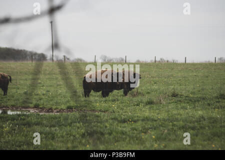 Darby Creek Stock Photo