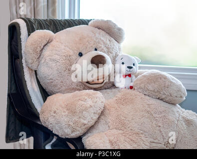 Teddy sales bear cuddles